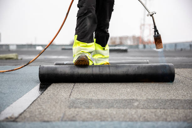 Best Sheet Metal Roofing  in Lakeland, MN