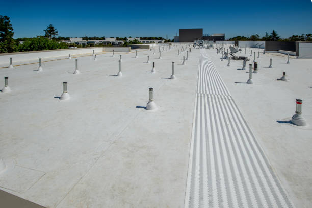 Best Steel Roofing  in Lakeland, MN